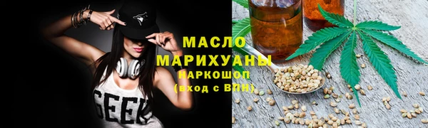 сатива Тайга