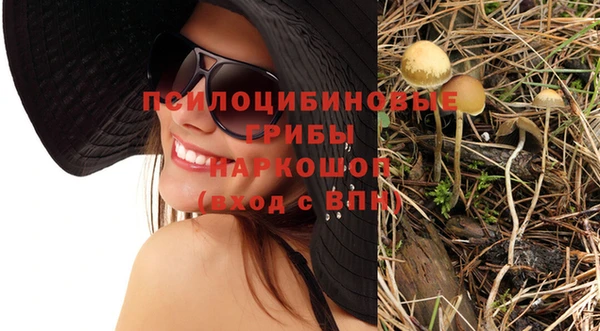 прущие грибы Беломорск