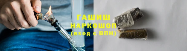 прущие грибы Беломорск