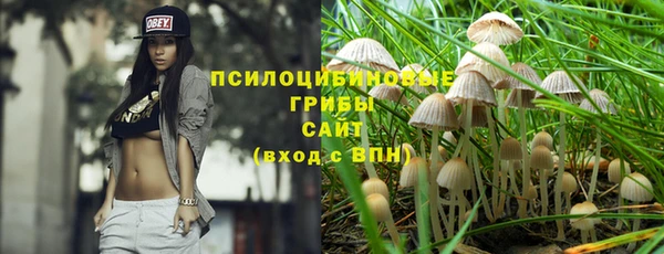 прущие грибы Беломорск