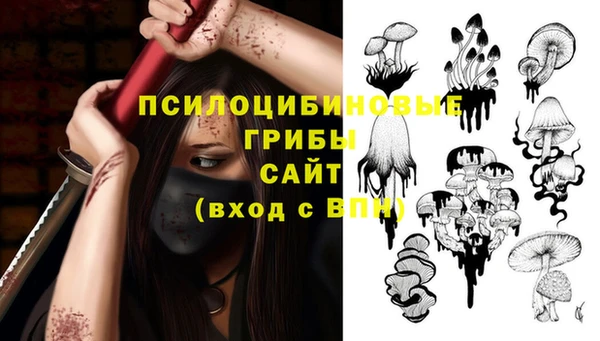 прущие грибы Беломорск