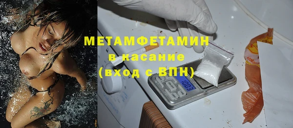 прущие грибы Беломорск