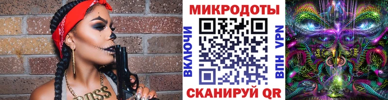 Псилоцибиновые грибы Psilocybine cubensis  Володарск 